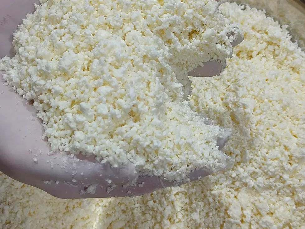 travel program image