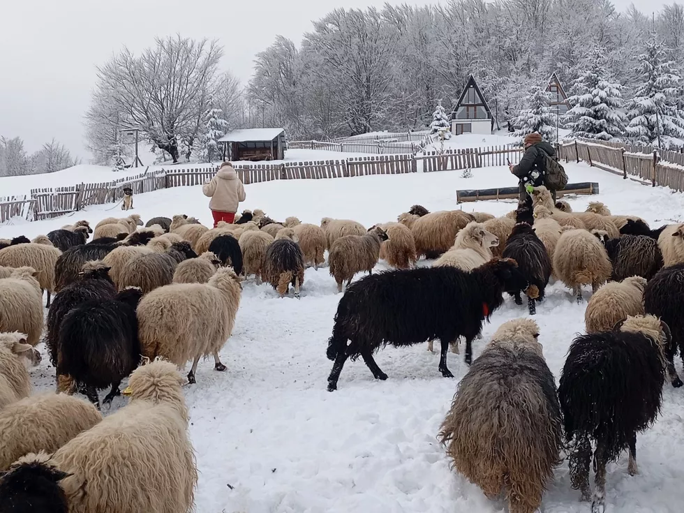 travel program image