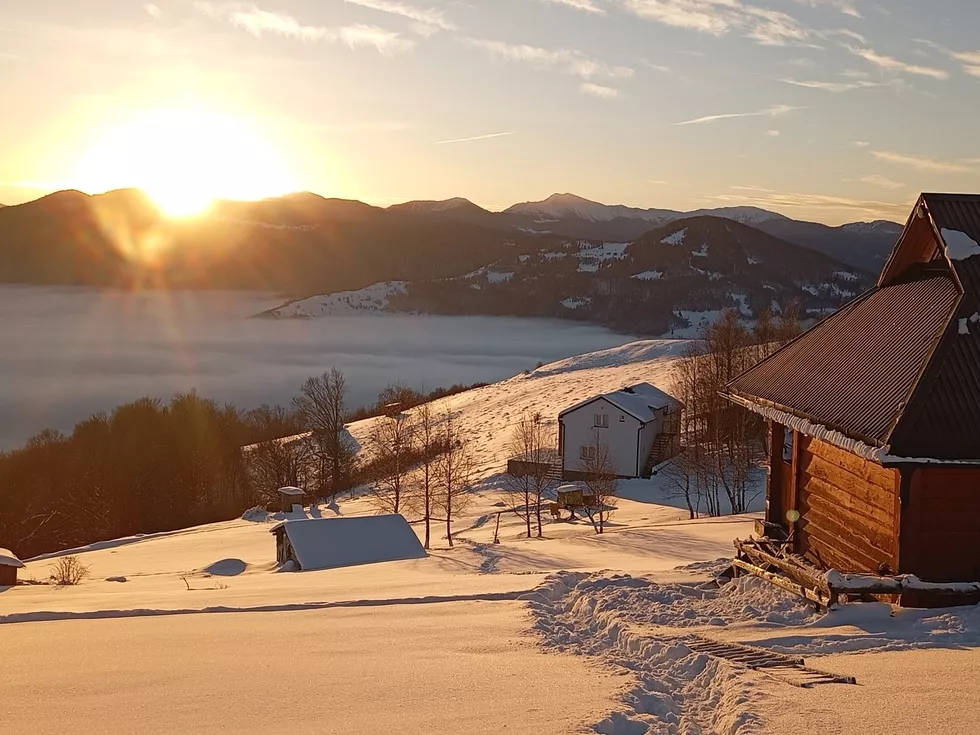 travel program image