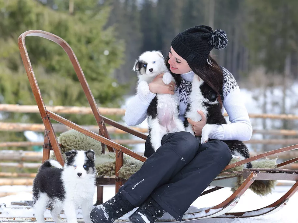 travel program image