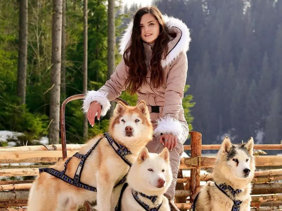 travel program image