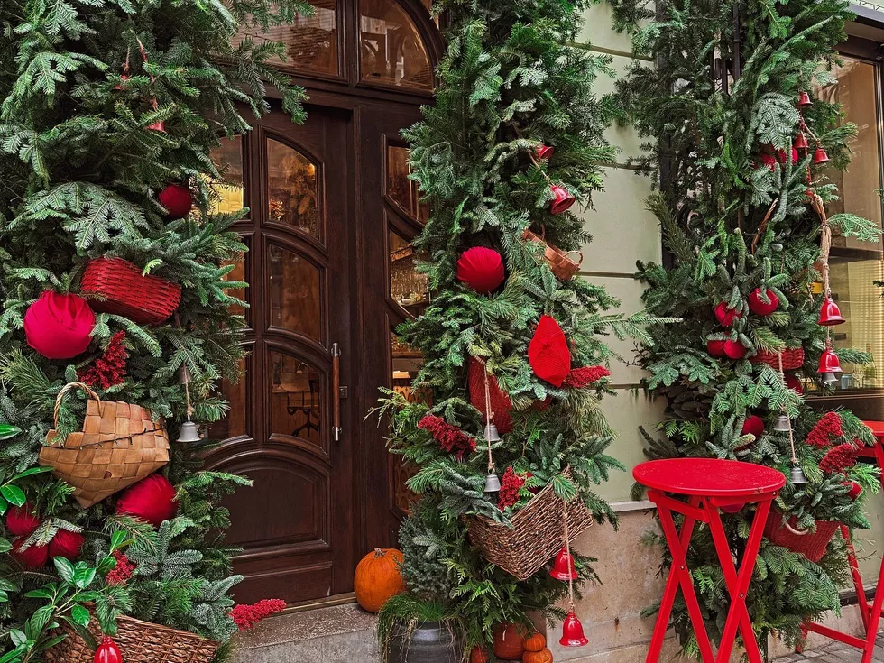 travel program image