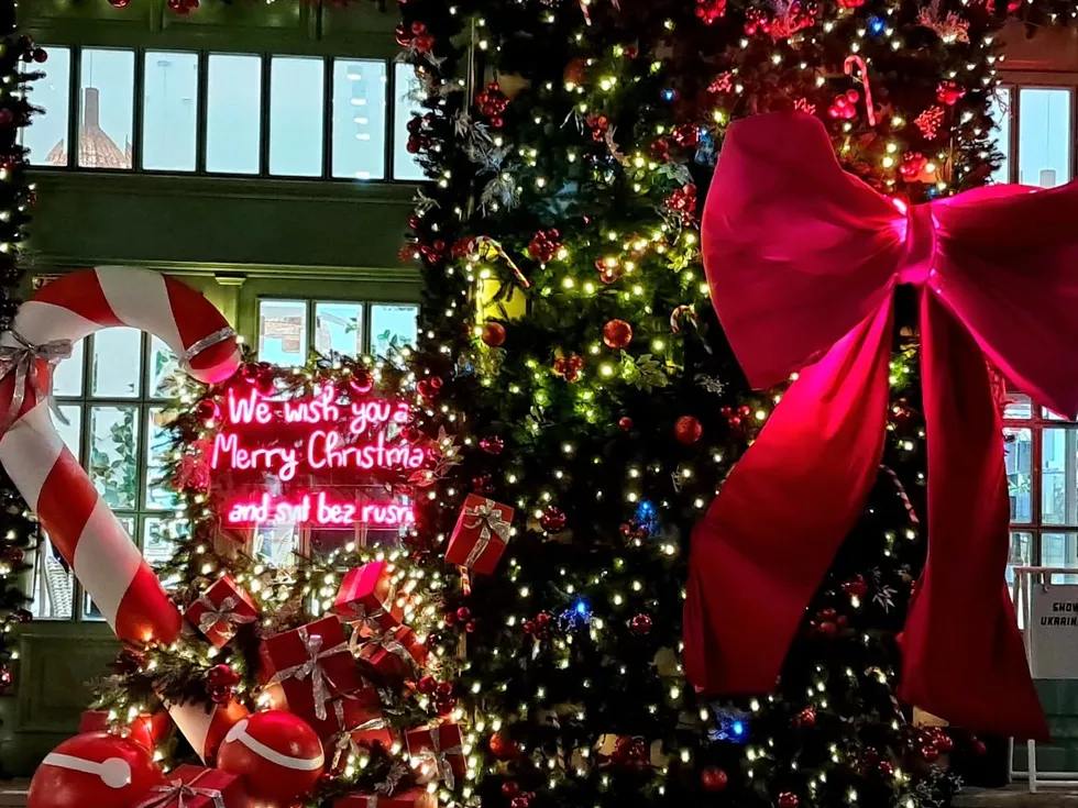 travel program image