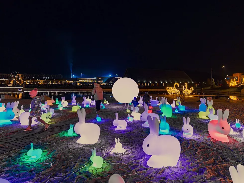 travel program image