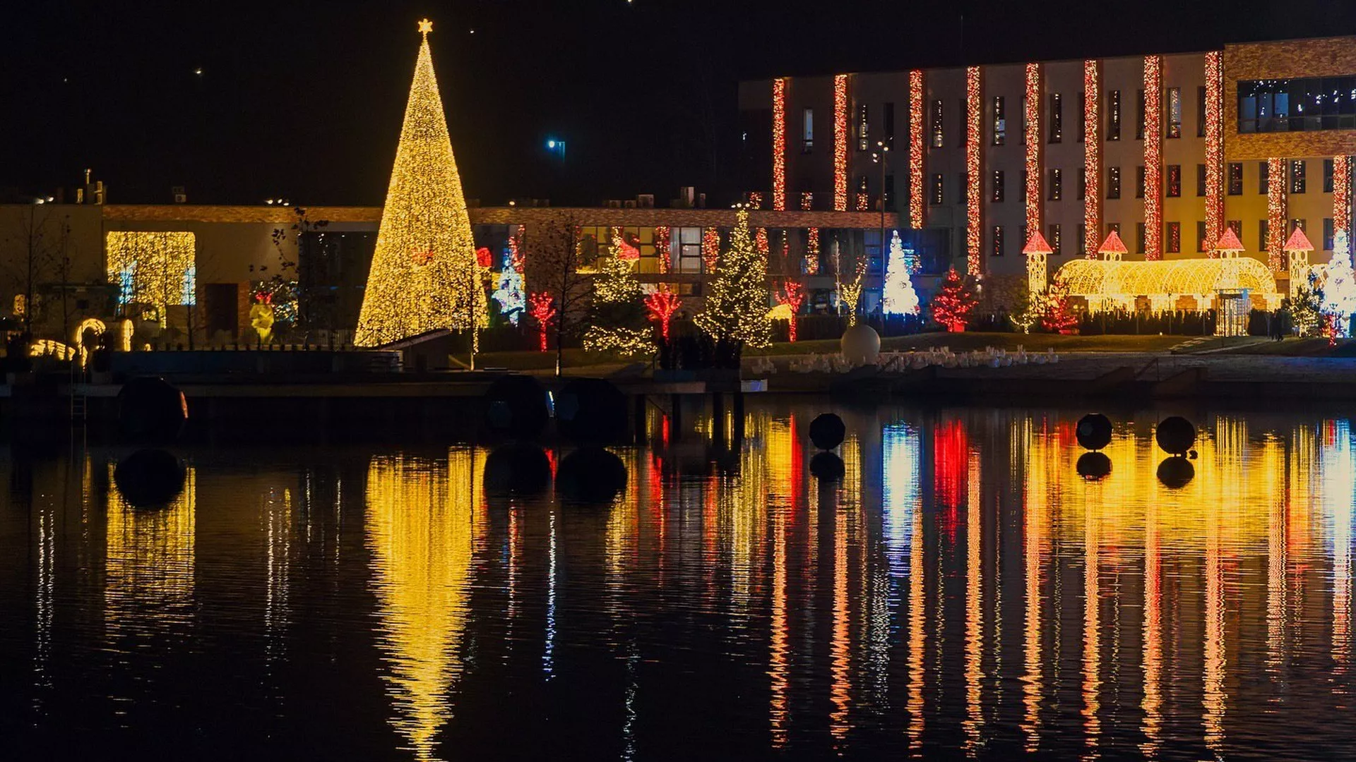 trip inroduction image