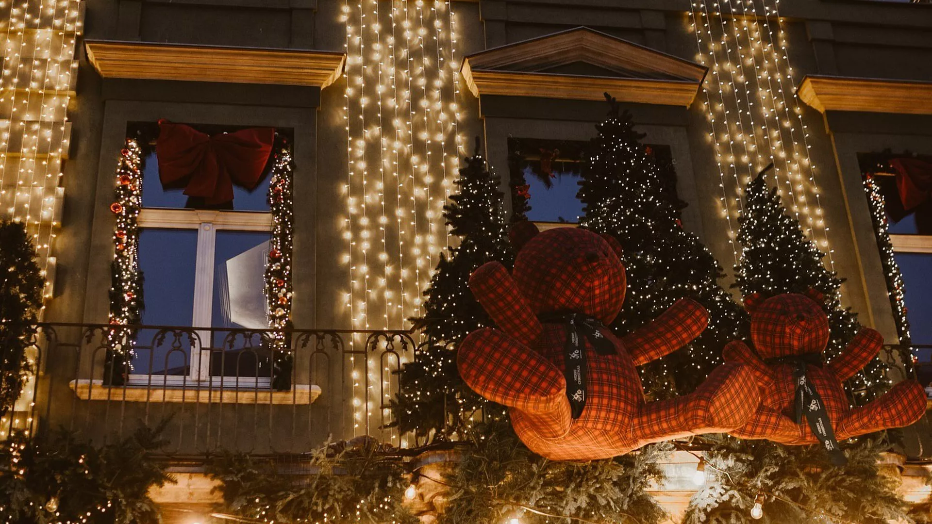 trip inroduction image