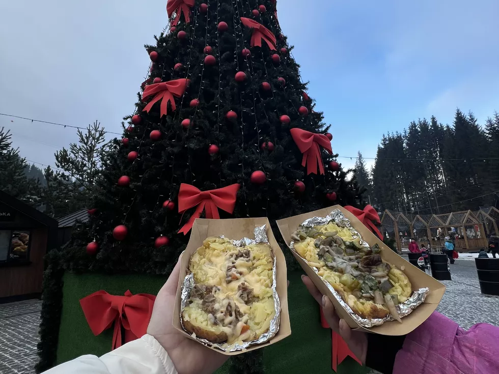 travel program image