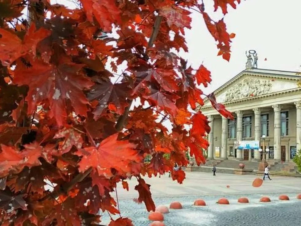 travel program image