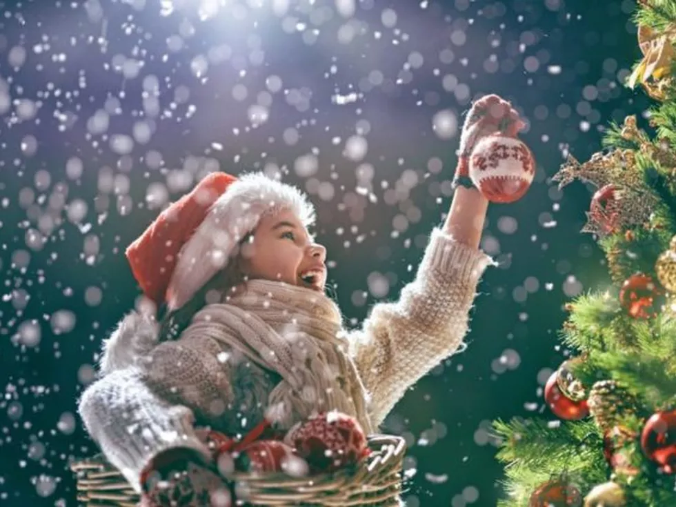 travel program image