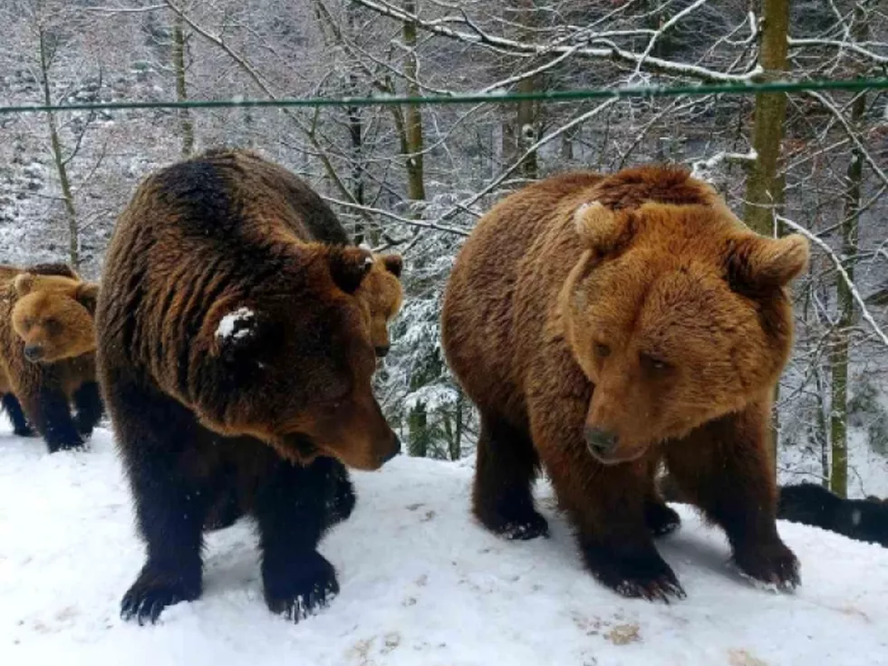 travel program image