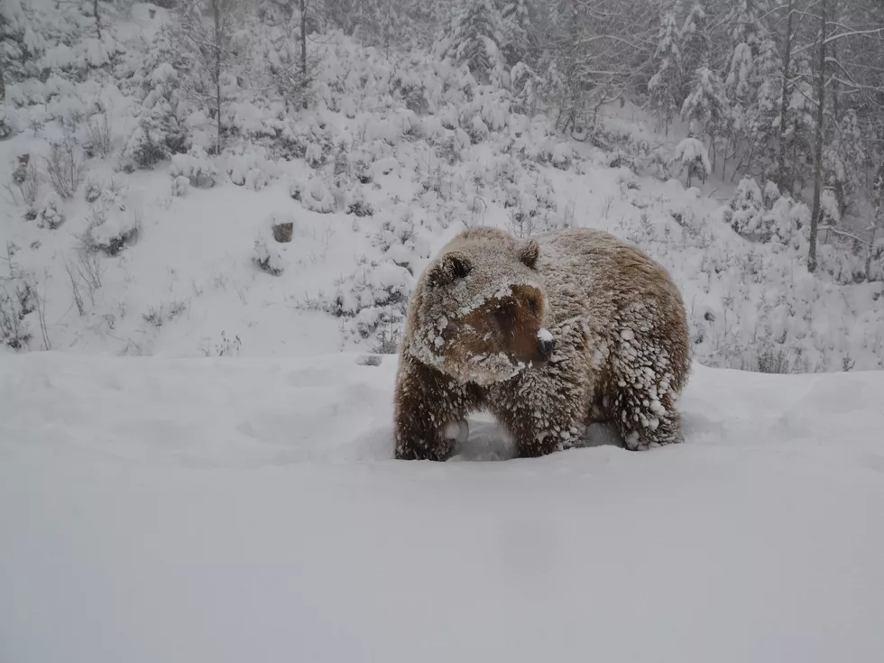 travel program image