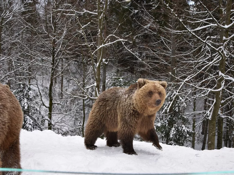 travel program image