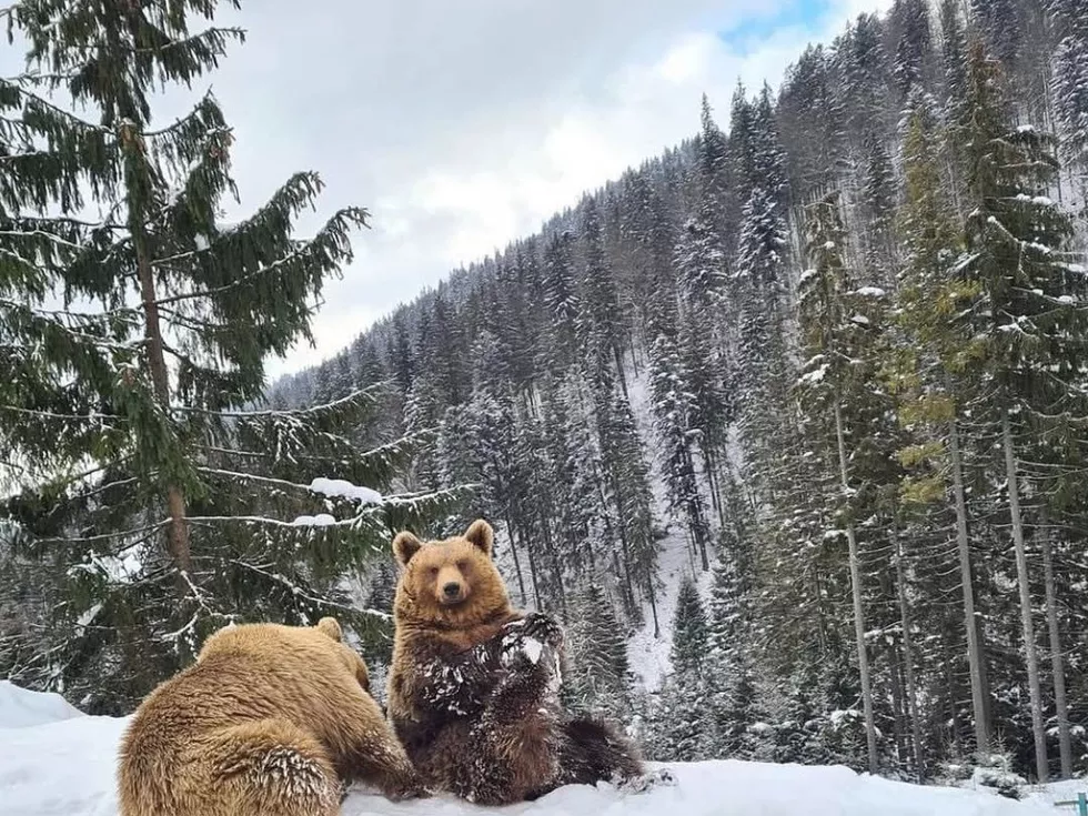 travel program image