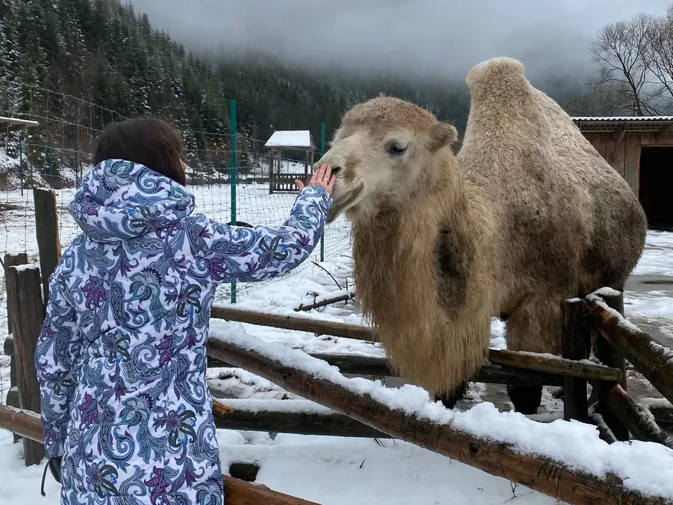 travel program image