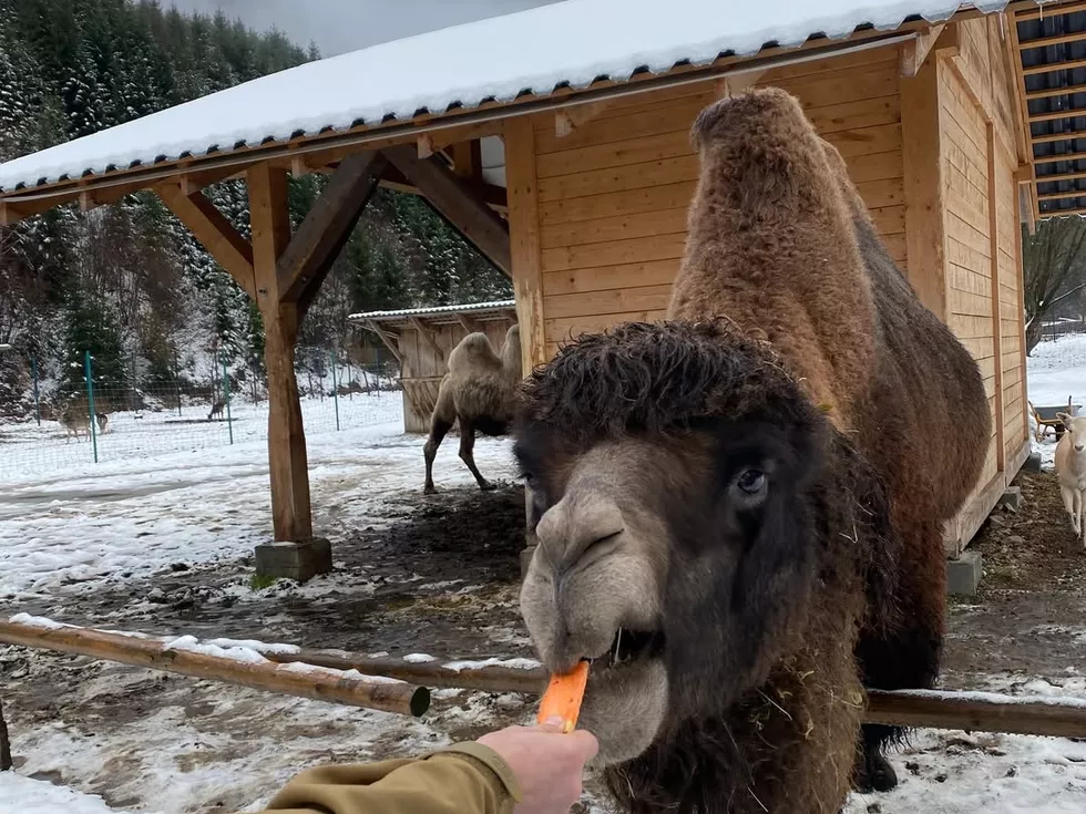 travel program image