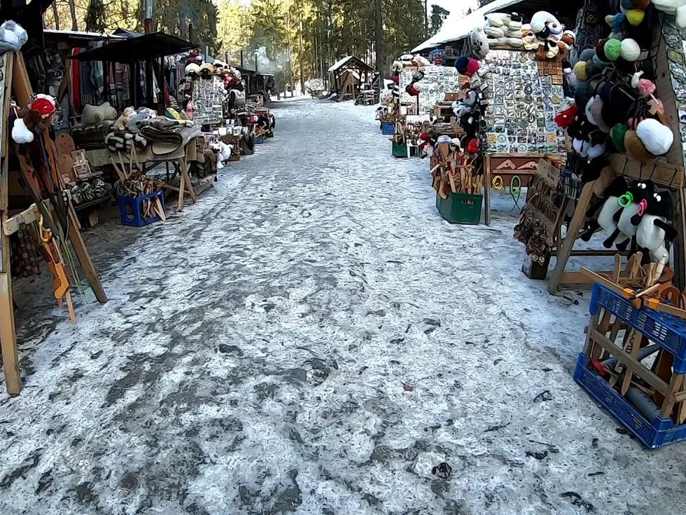 travel program image