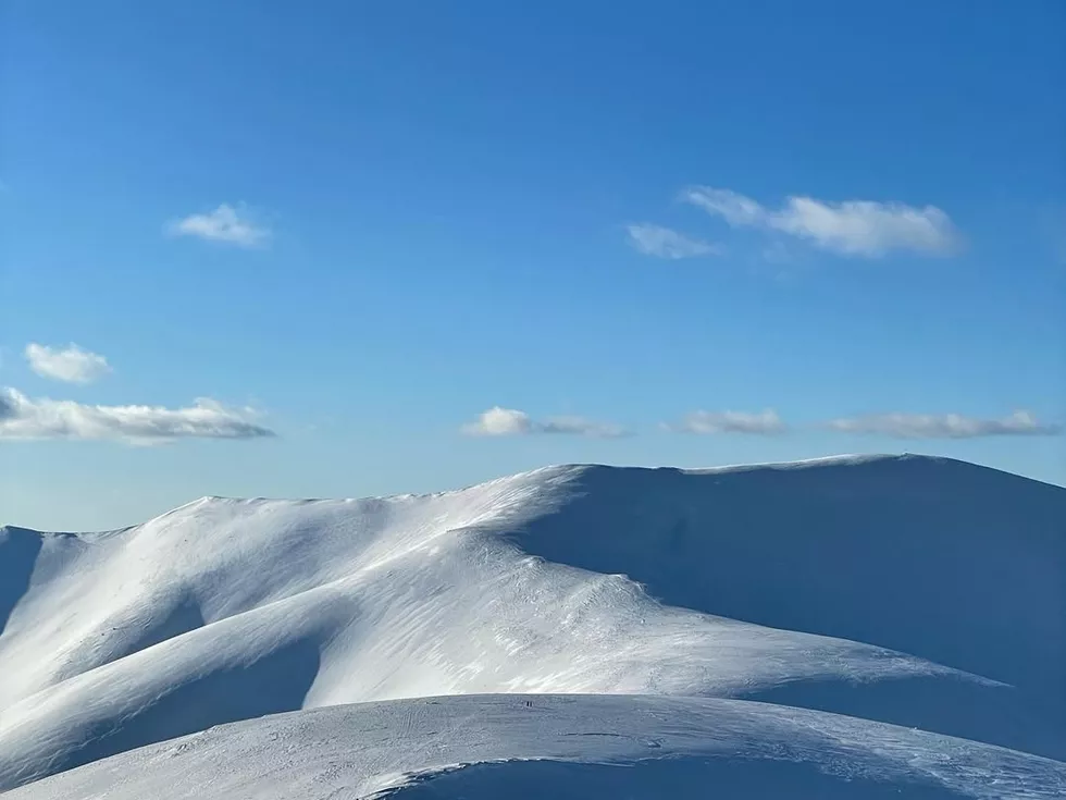 travel program image