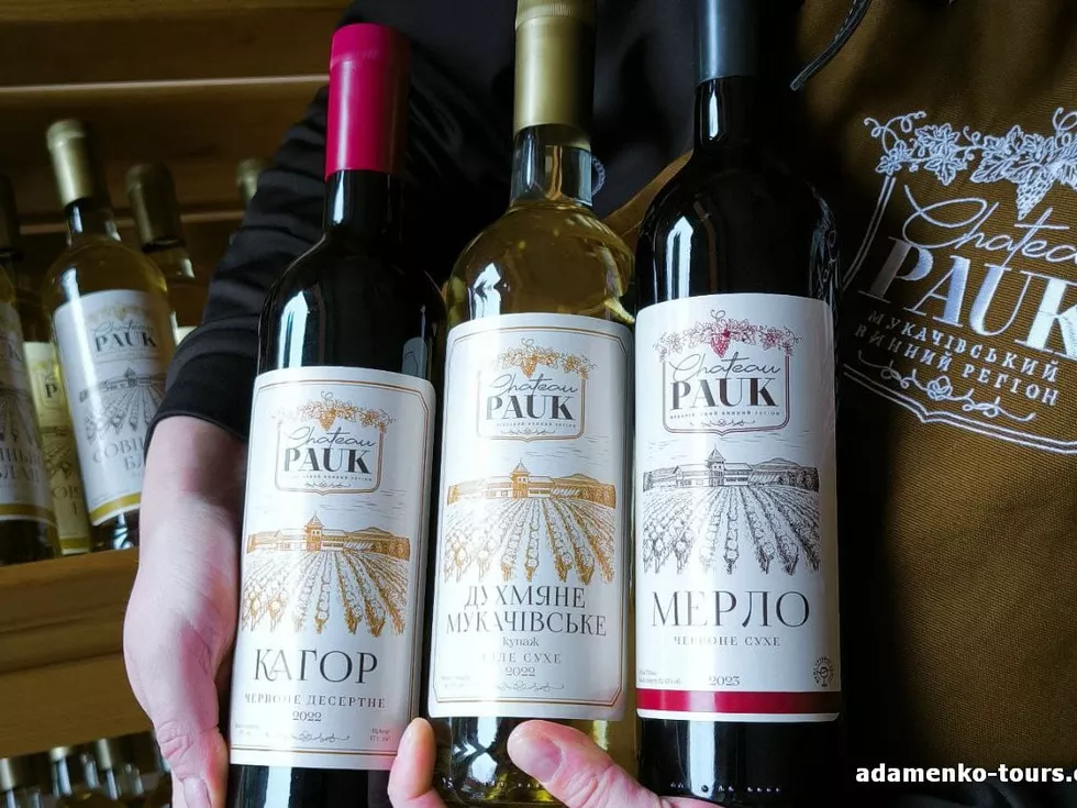 travel program image