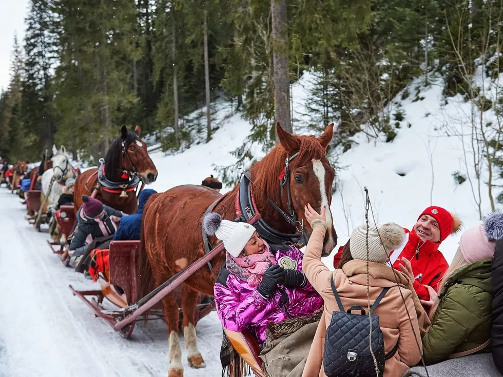 travel program image