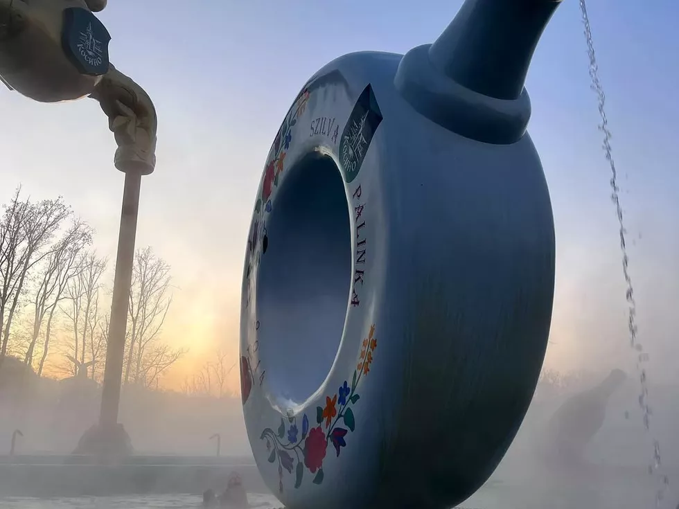 travel program image