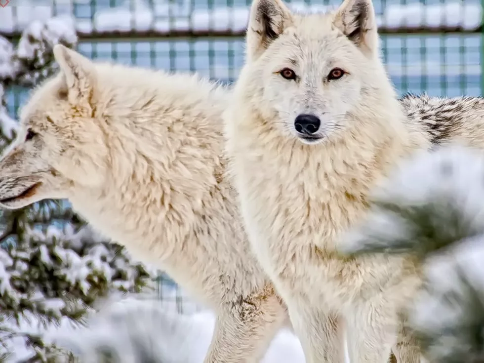 travel program image