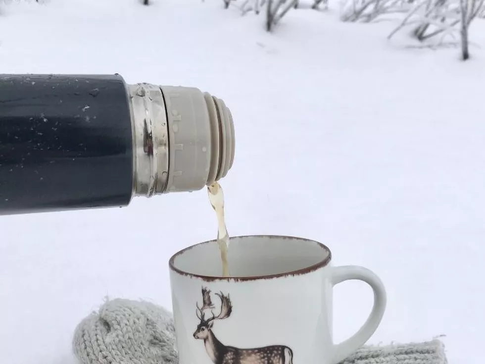 travel program image