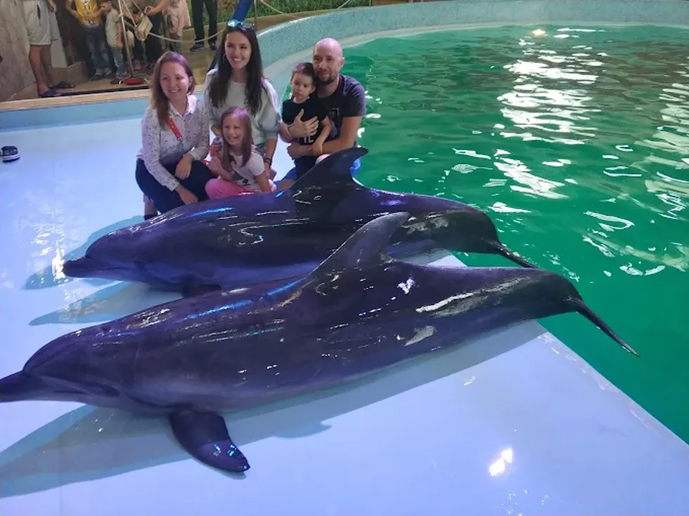 travel program image