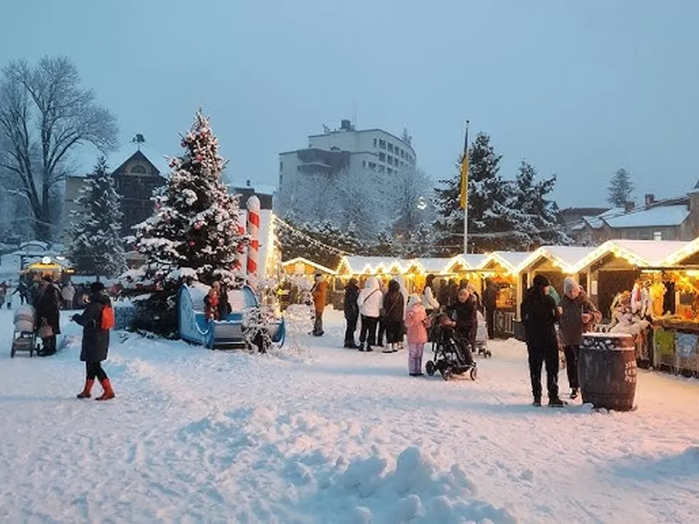 travel program image