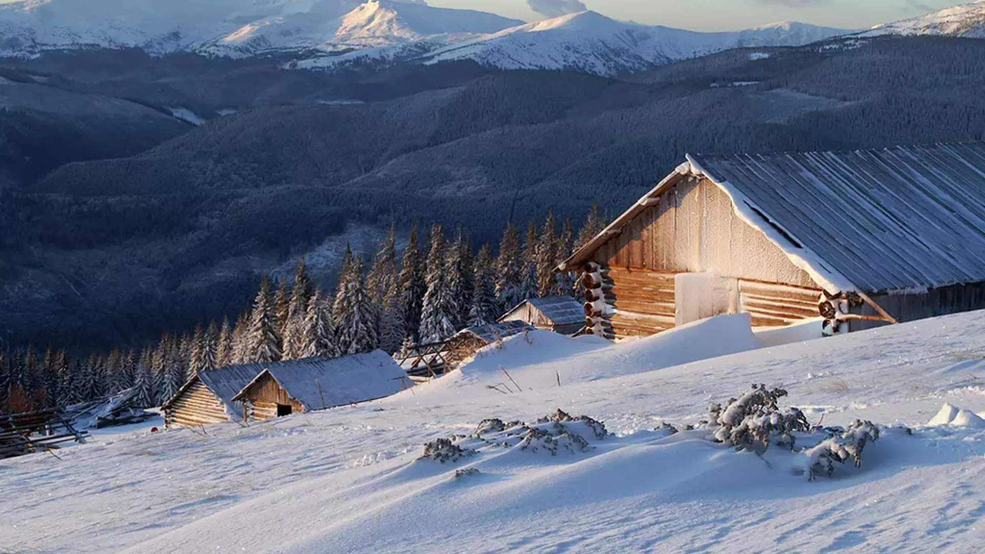 trip inroduction image