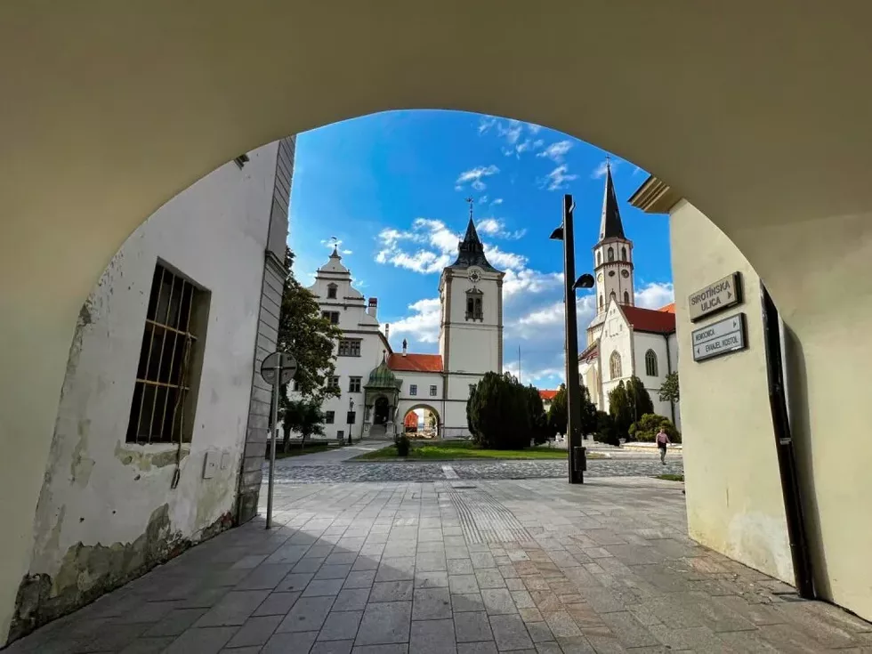 travel program image