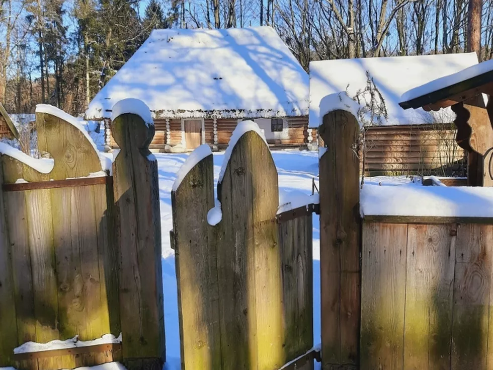 travel program image