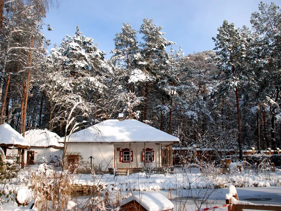 travel program image