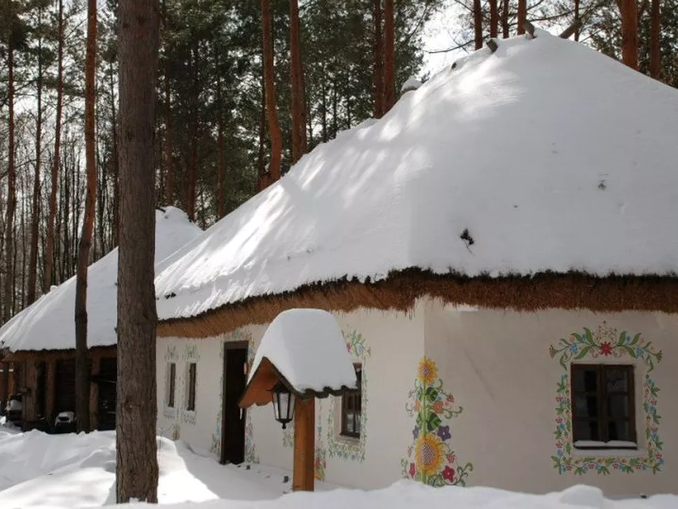 travel program image