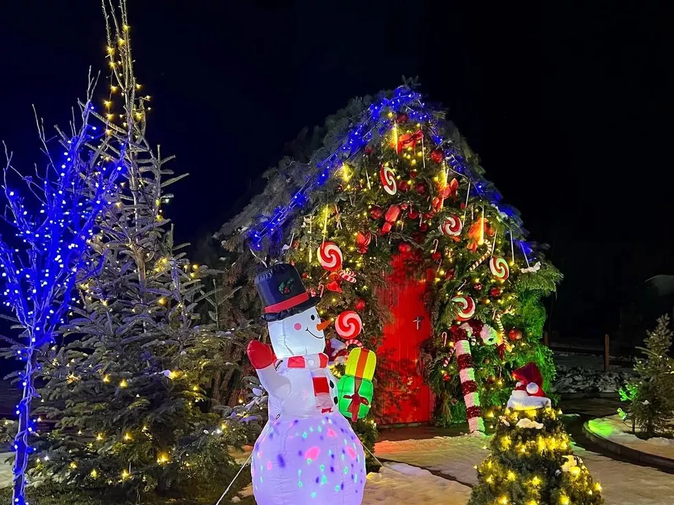 travel program image