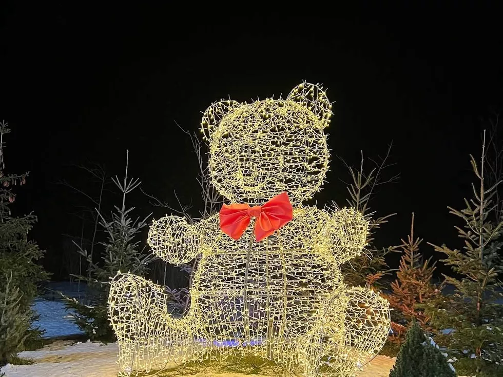 travel program image