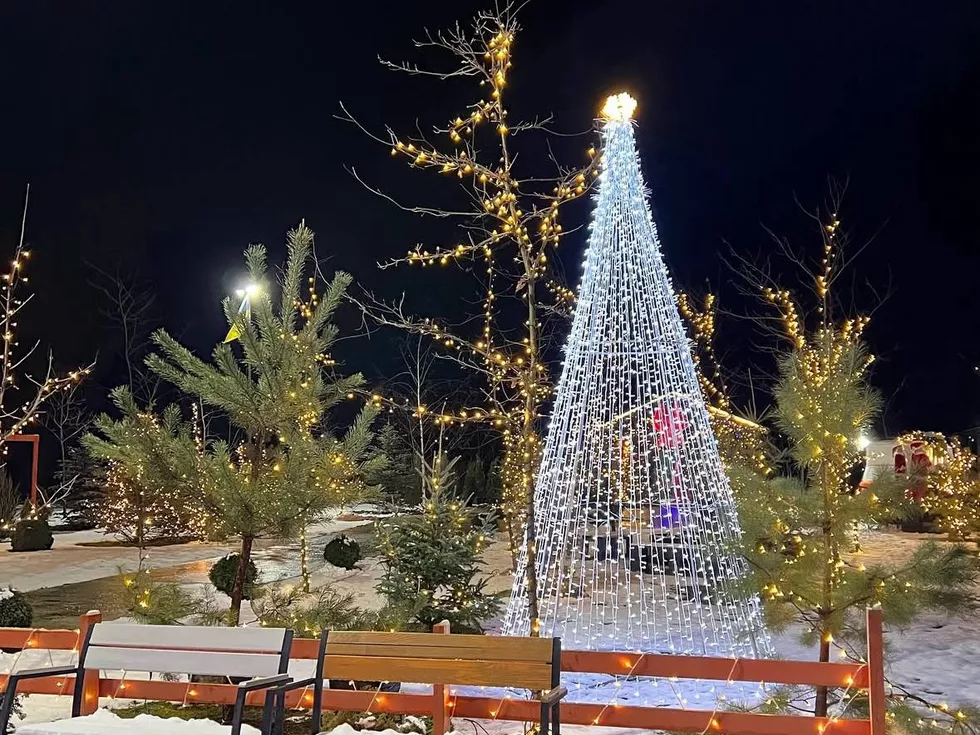 travel program image