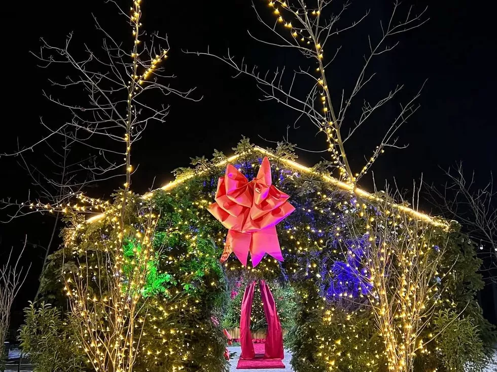 travel program image