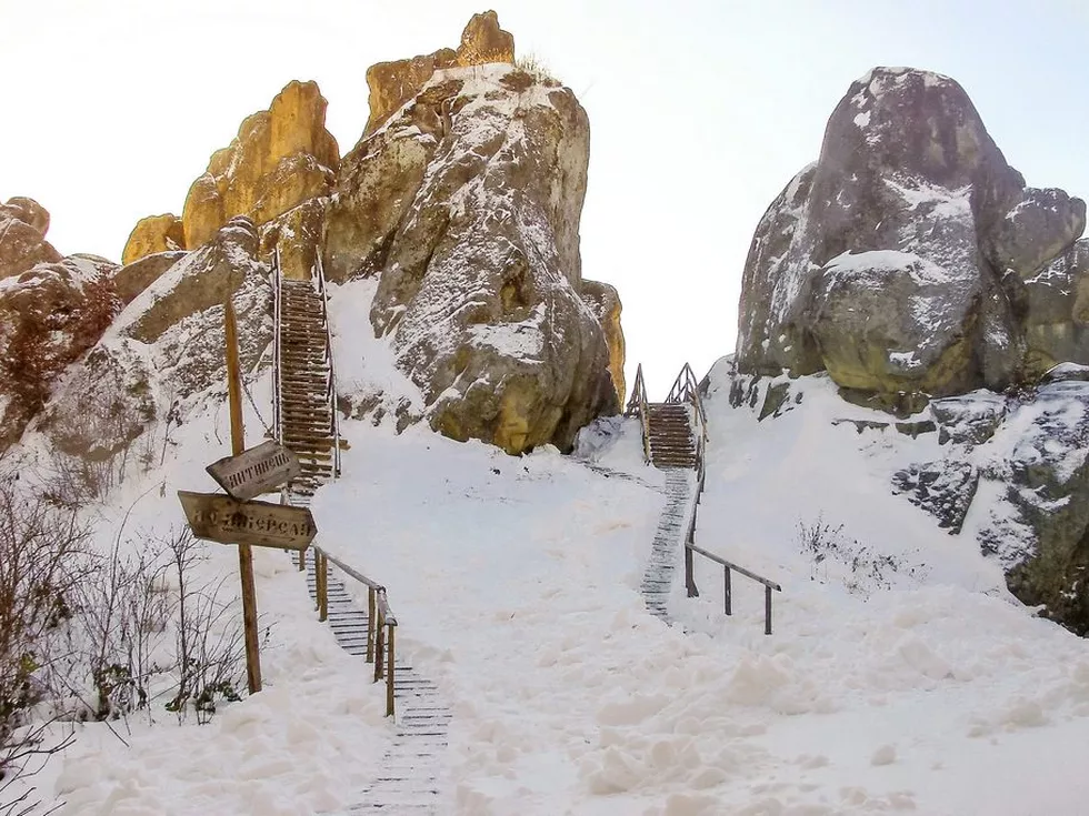 travel program image