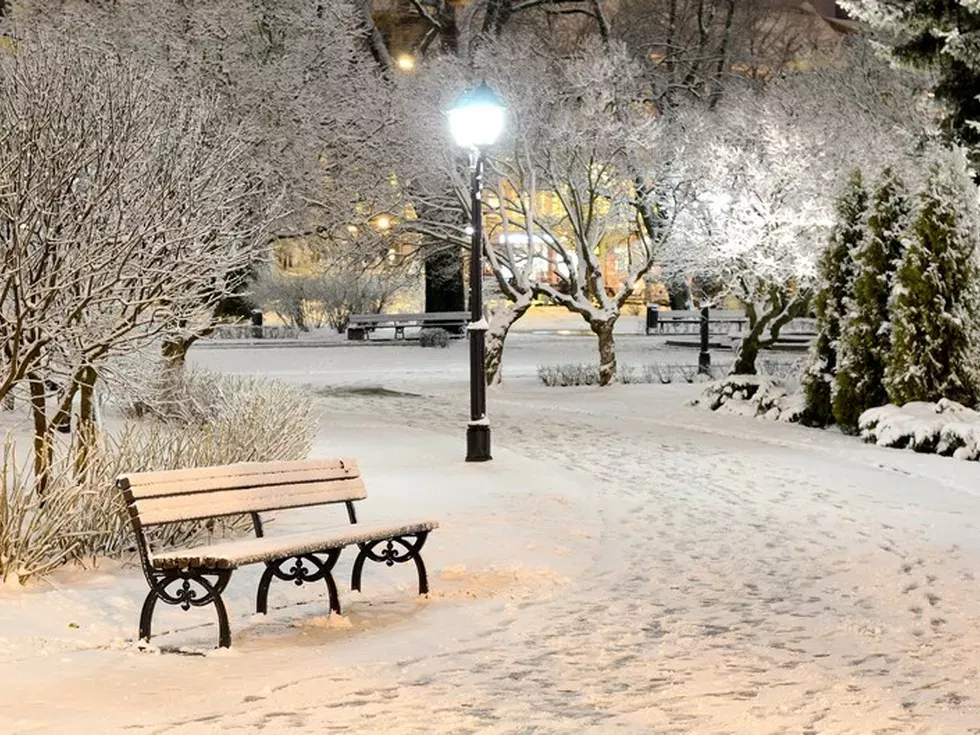 travel program image