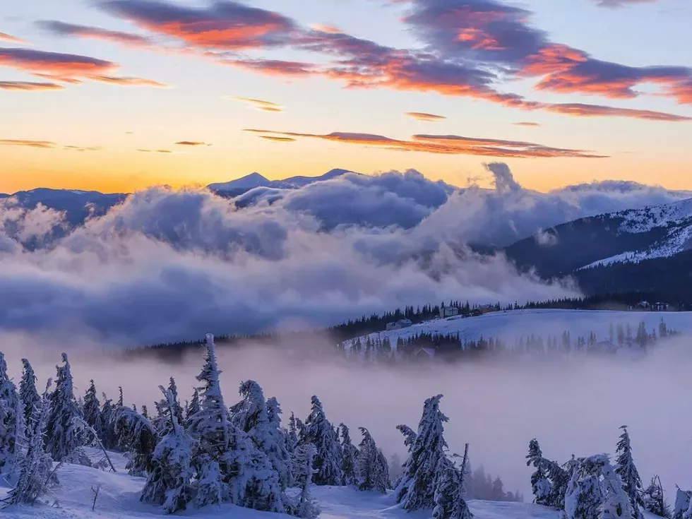 travel program image