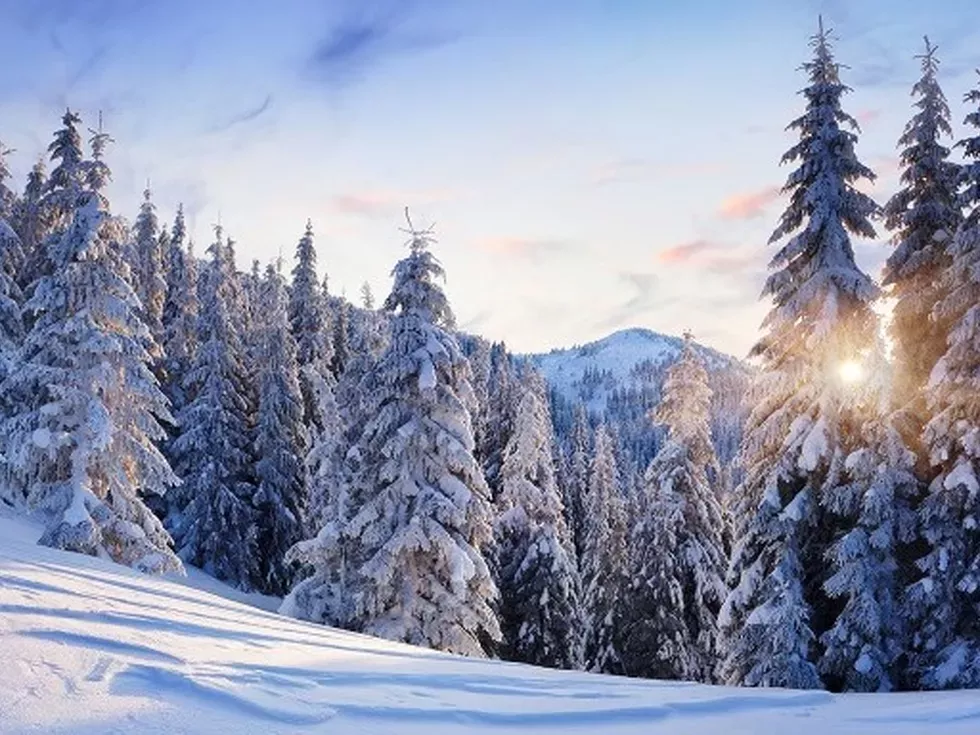 travel program image