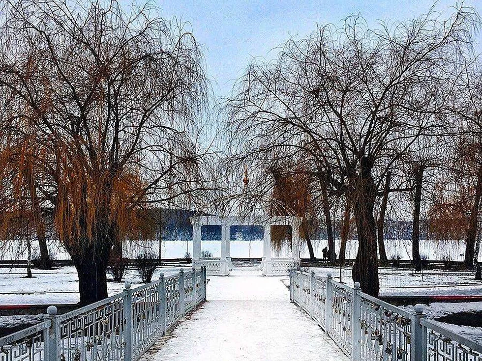 travel program image