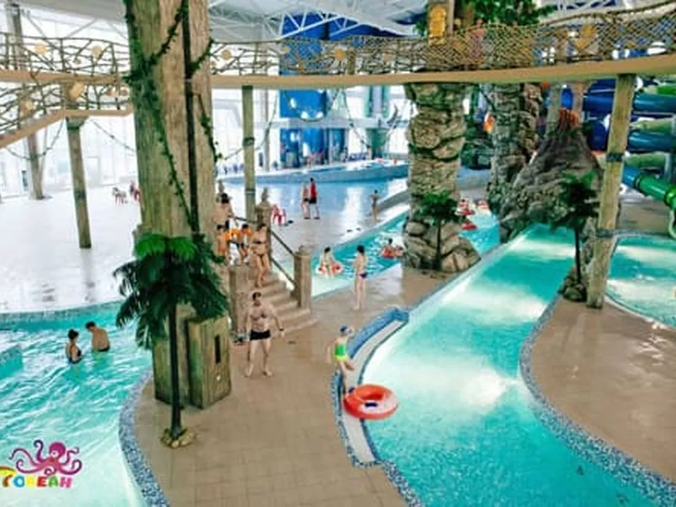 travel program image