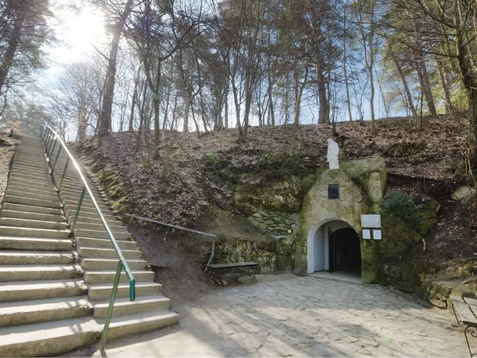 travel program image