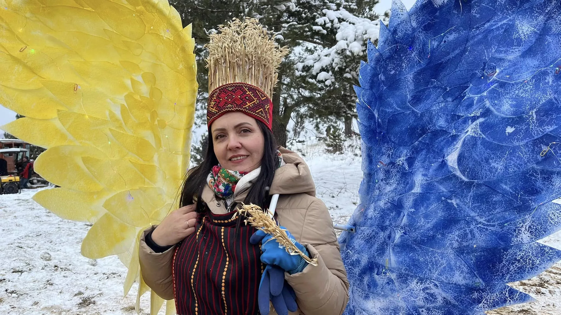 trip inroduction image