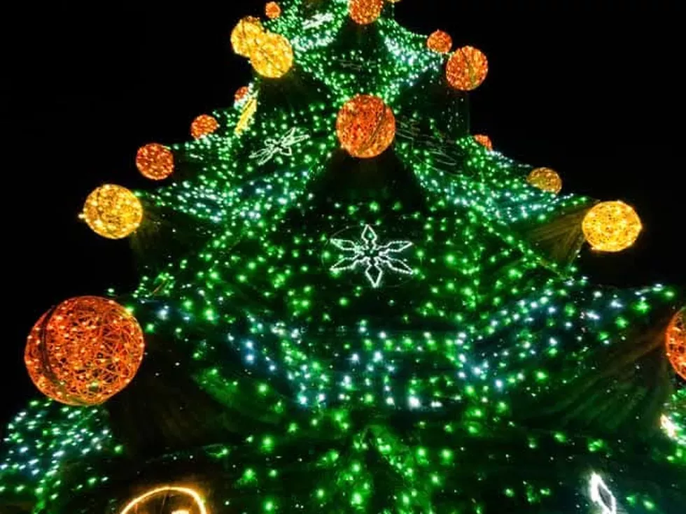 travel program image