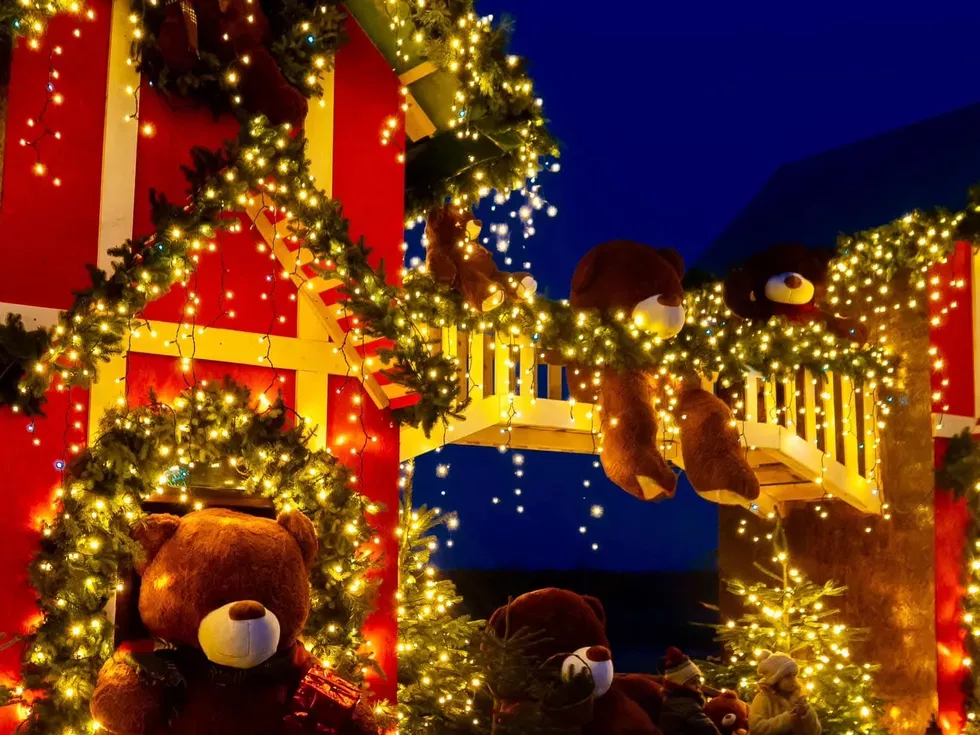 travel program image