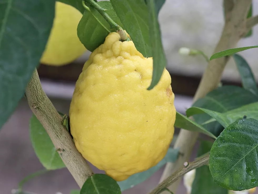 travel program image