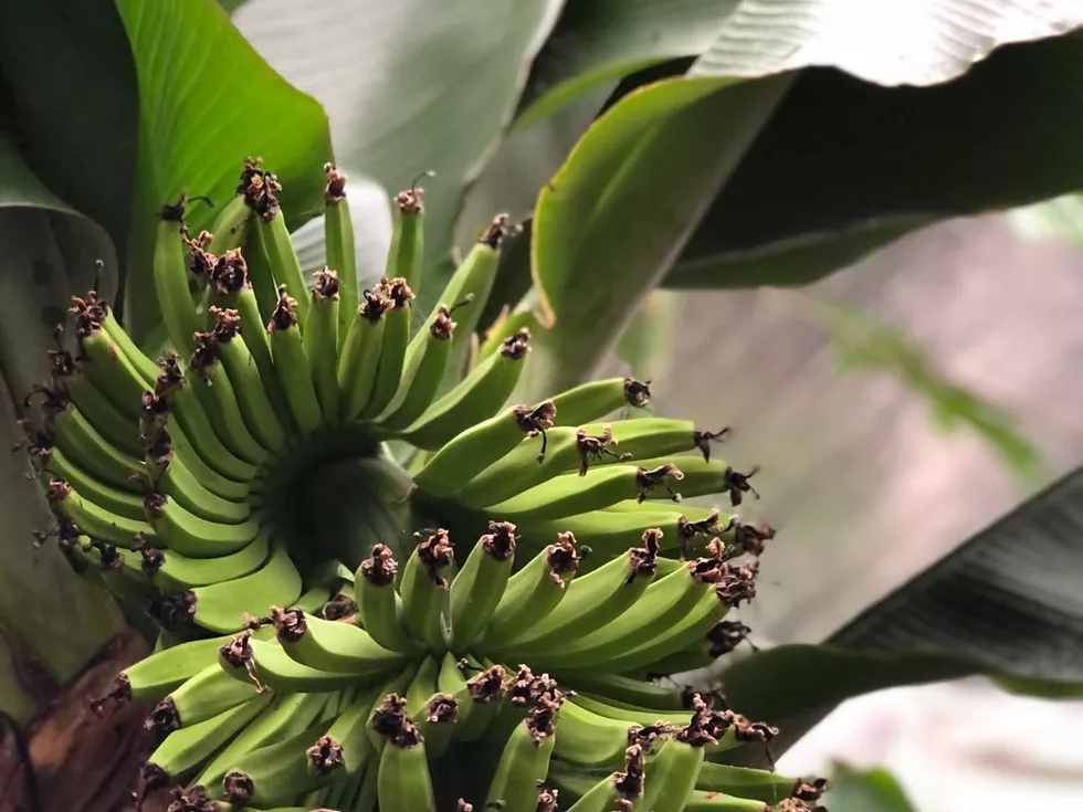 travel program image