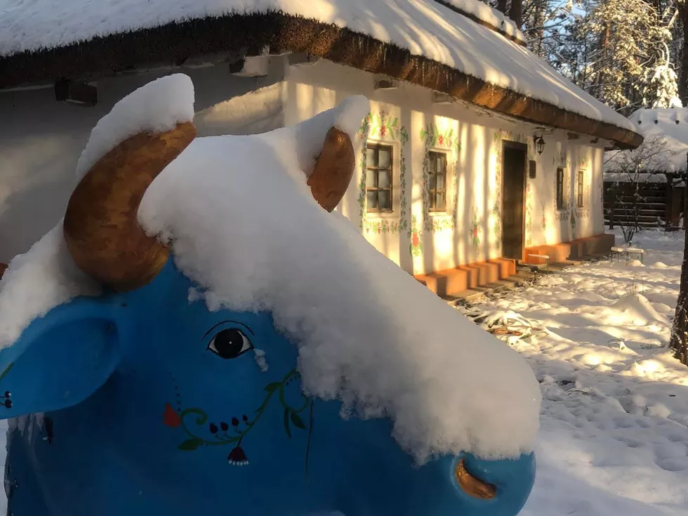 travel program image